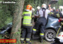 Stmk: Eingeklemmte Person nach Pkw-Crash gegen Baum bei Thannhausen