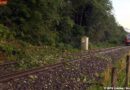 Stmk: 30 Minuten Sturm sorgt für über 100 Einsätze
