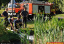 Bayern: Feuerwehr München bewahrt Biotop vor dem Austrocknen