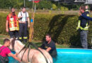 Deutschland: Da steht ein Pferd im Pool