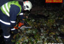 Bgld: Sturmschaden-Einsatz in Pinkafeld