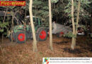 Nö: Waldbrand im Retzer Land