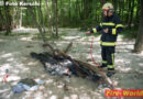 Oö: Feuerwehreinsatz wegen Lagerfeuer im Wald