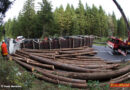 Oö: Lenker nach Holztransporter-Unfall bei Bad Leonfelden eingeklemmt