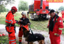 Bgld: FF Pinkafeld übt mit österr. Rettungshundebrigade