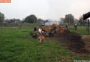Stmk: Brand in steirischen Tiergarten