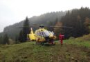 Nö: Feuerwehr unterstützt Rettungsdienst bei Forstunfall