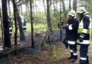 Nö: Zwei Feuerwehren bei Waldbrand in Dietmannsdorf im Einsatz