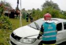 Nö: Pkw kommt von der Fahrbahn ab und stürzt in einen Weingarten