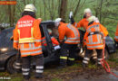 D: Mit Auto in Barnkrug gegen Baum -> Lenkerin eingeklemmt