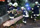 Nö: Baum stürzt im Sturm um -> Straße komplett blockiert