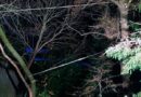 Nö: Eiche reisst bei Sturm in 120cm Höhe ab
