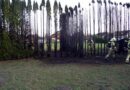 Vlbg: Mehrere Meter hohe Hecke in Vollbrand