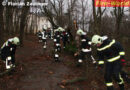 Nö: Feuerwehr beseitigt Sturmschaden im Waldgebiet