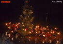 Oö: Christbaumschwimmen 2013 in Schärding hatte 1.000 Besucher
