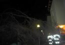 Stmk: Entwurzelter Baum flog beinahe auf Wohnhäuser