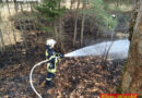 Bayern: Gras- und Sträucherbrand im trockenen Waldgebiet in Augsburg