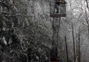 Stmk: Glatteis und Schneebruch -> Dauereinsatz für die Feuerwehr
