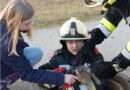 Oö: Feuerwehrmänner befreiten Kater aus Abwasserkanal