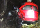 Schweiz: Tödlicher Pkw-Anprall an Baum in Martinach
