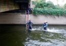 D: Taucher bergen diverse Wertgegenstände