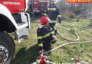 Nö: Wiesenbrand in Deutsch-Wagram