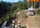 Stmk: Kleinflächiger Waldbrand in Fohnsdorf rasch gelöscht