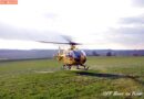 Nö: Traktor kracht gegen einen Holzstoß