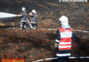 Nö: Auto in Bach / Füße in laufender Motorhacke / Flurenbrand in Gmünd