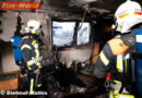 Vbg: Leguan und Gekos bei Wohnungsbrand in Götzis gerettet