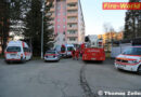 Stmk: Alarm durch Rauchmelder, Brand von Grünschnitt und die Katze auf dem Baum