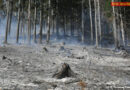 Nö: Kriegsmunition behindert Löscharbeiten bei Waldbrand in Lilienfeld
