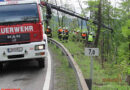 Vbg: Feuerwehr rettet abgestürzte Rinder bei Langen