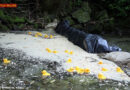 Nö: KHD-Großübung: Gummi-Enten überprüften Ölsperren