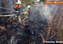 Vbg: Schwieriger Einsatz bei Brand im steilen Wald bei Röthis