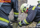 Nö: Feuerwehr Bad Vöslau am Karsamstag dreimal im Einsatz
