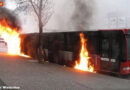 Schweiz: Brennender Stadtbus in Winterthur