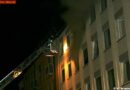 D: Hund konnte bei Zimmerbrand nicht mehr gerettet werden