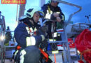 Nö: Feuerwehr holt Katze aus 20 m Höhe auf Boden zurück