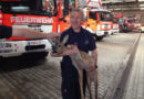 Ktn: Außergewöhnlicher Besuch -> Rehbock in Feuerwehrwache Klagenfurt