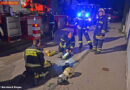 Nö: Feuerwehr Perchtoldsdorf rettet zwei Schlangen bei Kellerbrand