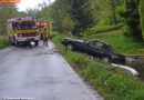 Deutschland: Lenker mit Auto in Teich gefahren