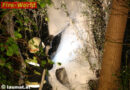 Oö: Brennender Baum beschäftigte die Feuerwehr