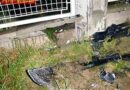 Nö: Pkw prallte gegen eine Gartenmauer -> Lenker flüchtete