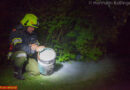 Oö: Gartenhüttenbrand mit Gartenschlauch und Löscher in Schach gehalten