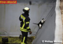 Deutschland: Tierisches Deja-Vu bei Katzenrettung in Alsfeld