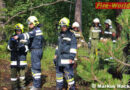 Nö: Spaziergängerin entdeckt beginnenden Waldbrand