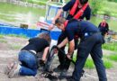 Nö: Feuerwehr rettete verletzte Wildgans