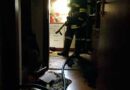Oö: Fünf Katzen bei Wohnungsbrand gerettet