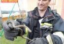 Nö: Feuerwehr holt Schlange aus Garten in Ternitz